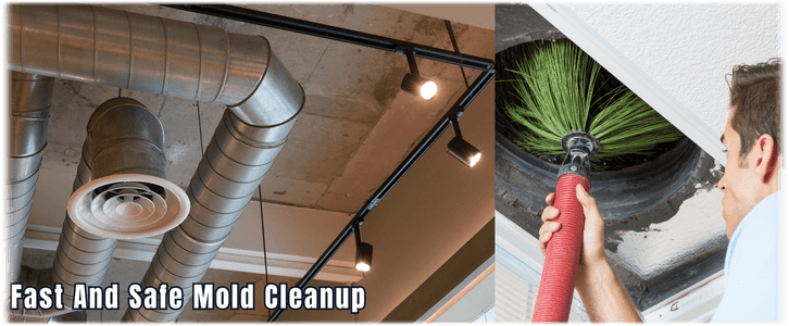 Air Duct Mold Removal in Denton
